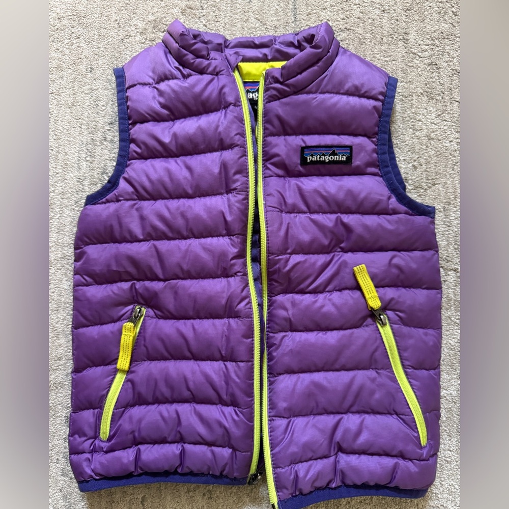 Patagonia Toddler Down Sweater Vest